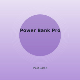 Powerbank Pro