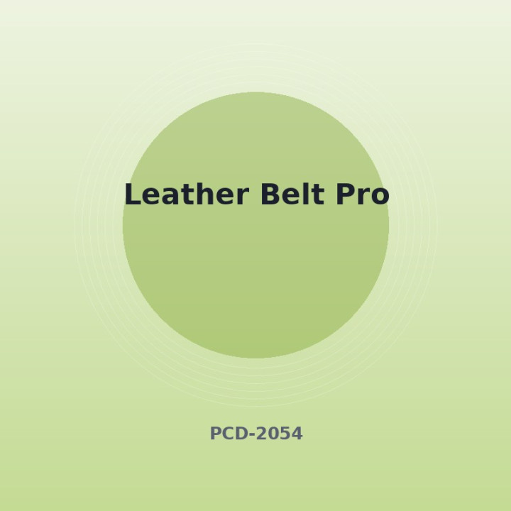Ledergürtel Pro